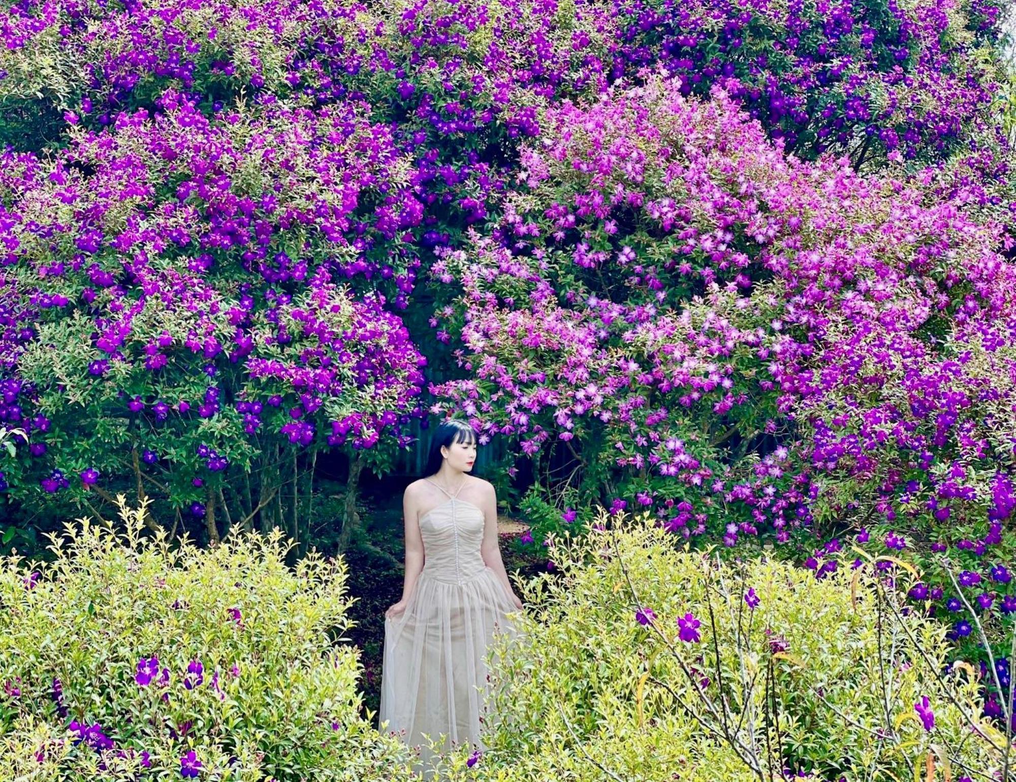 Khong Gian Van Hoa Tra Suoi Giang Nghia Lo Bagian luar foto